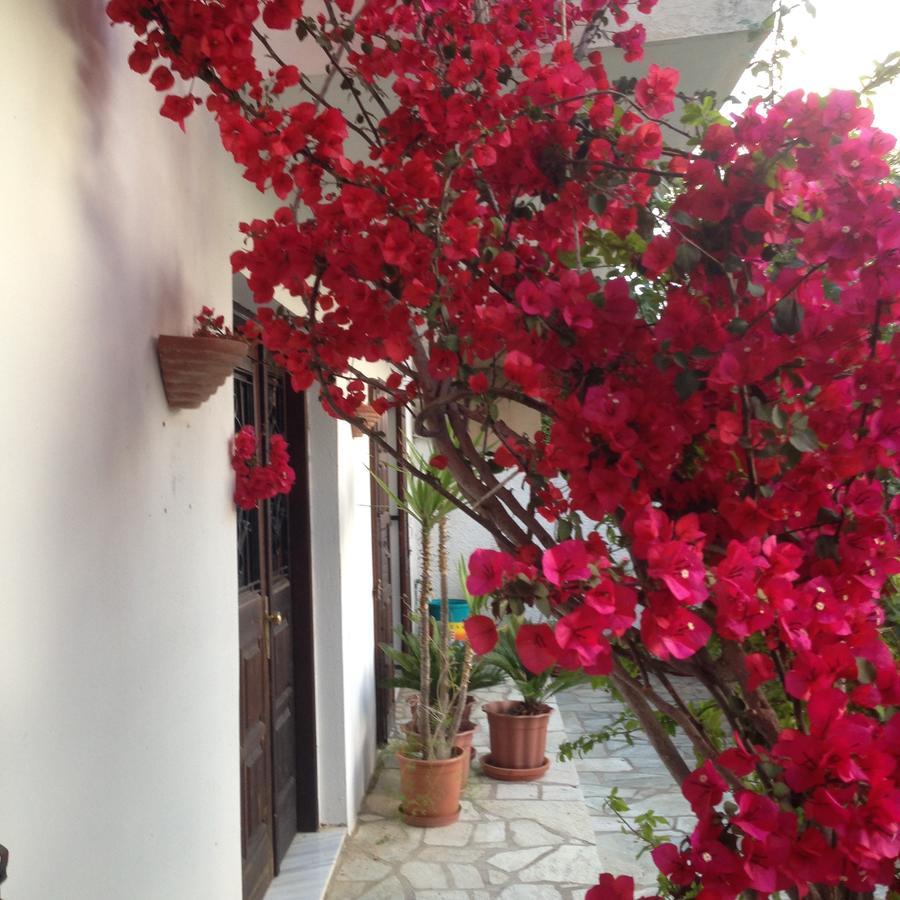 Mimoza Studios Skiathos Exterior foto